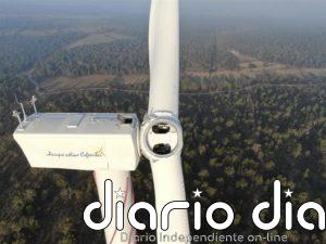 Cerca de 250 representantes de gobiernos, ONG, instituciones, bancos y empresas piden una 'recuperación verde'