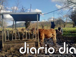 COAG pide que se refuerce la PAC con un presupuesto "suficiente" para responder a los retos del futuro