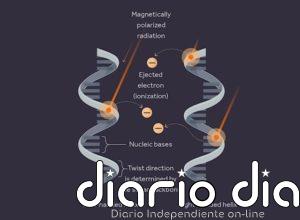 Cómo los rayos cósmicos pueden haber dado forma a la vida