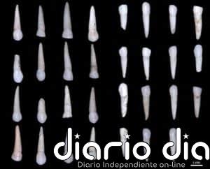 Dientes permiten determinar el sexo en pobladores jóvenes de Atapuerca