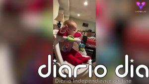 A este Corgi solo le interesa su juguete y no hay bebé que le enternezca