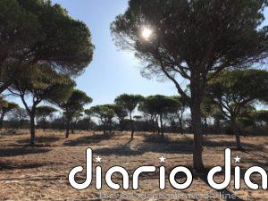 A juicio una empresa de Almonte (Huelva) acusada de extracciones ilegales del acuífero de Doñana