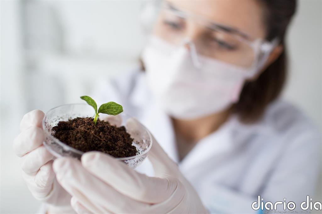 ADL Bionatur reduce un 41% sus pérdidas y aumenta un 80% sus ingresos en 2019