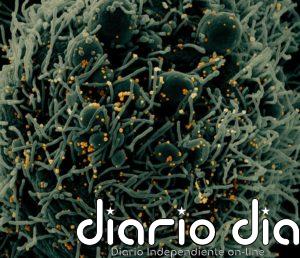 Al Shabaab anuncia la apertura de un "centro de tratamiento" contra el coronavirus en el sur de Somalia