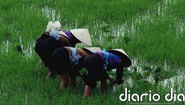 Alarmante uso de antibióticos humanos en agricultura