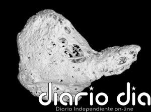 Algunos chimpancés tienen un hueso en el corazón