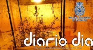 Amenaza de muerte a un policía con una catana en Baza (Granada) y le descubren un cultivo de marihuana en una cueva