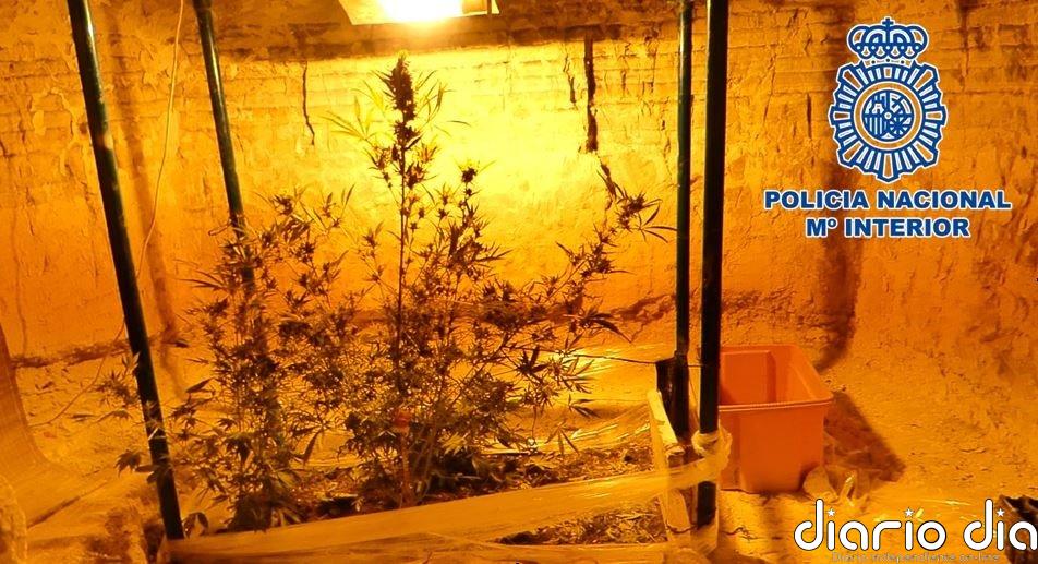 Amenaza de muerte a un policía con una catana en Baza (Granada) y le descubren un cultivo de marihuana en una cueva