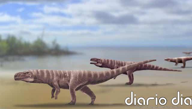 Antiguos cocodrilos caminaban sobre dos patas como los dinosaurios