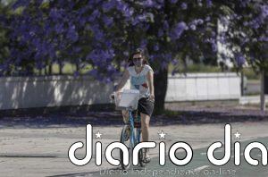 Aviso naranja por calor en Córdoba y Jaén y amarillo en Sevilla y Almería