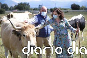 Ayuso presenta un proyecto de comercio 'online' de jóvenes ganaderos de la Sierra Norte para vender productos cárnicos