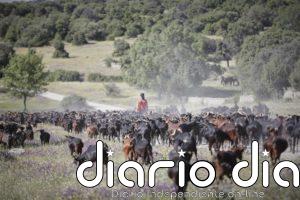 Biólogos avisan que una "relajación" de la protección de los ecosistemas traerá muevas pandemias