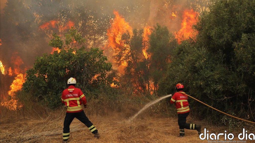 Bomberos e Infoca intervienen en la extinción de un incendio agrícola en la periferia de Córdoba capital