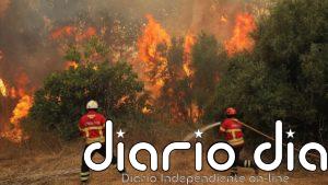 Bomberos e Infoca intervienen en la extinción de un incendio agrícola en la periferia de Córdoba capital