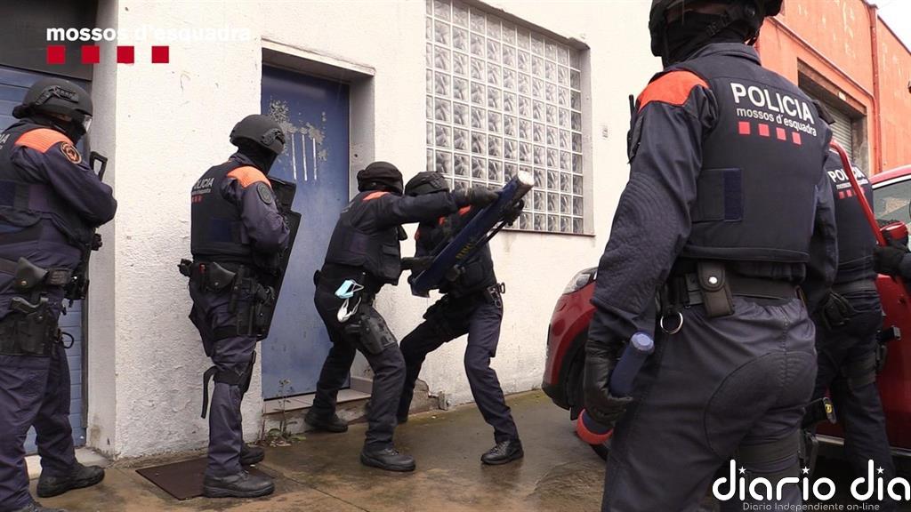 Cae un grupo criminal que cultivaba marihuana en naves industriales de Catalunya