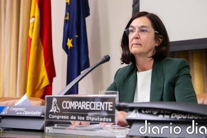 Cani Fernández subraya que rehuirá cualquier conflicto de interés en la CNMC "ante cualquier duda"