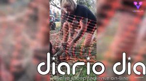 14 personas rescatando animales que restaurarán tu fe en el ser humano