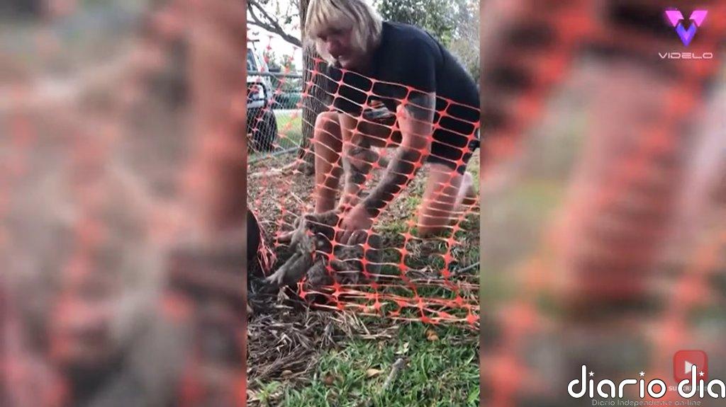 14 personas rescatando animales que restaurarán tu fe en el ser humano