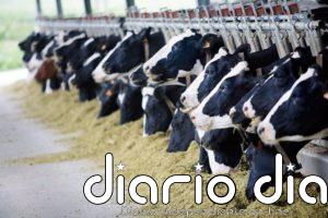 Abac Capital compra Elasa, Llanera, Maipe, Goiko y Norvet para liderar la distribución de zoosanitarios