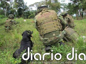 Al menos cuatro militares muertos al ser atacados cuando erradicaban cultivos de coca en el norte de Colombia