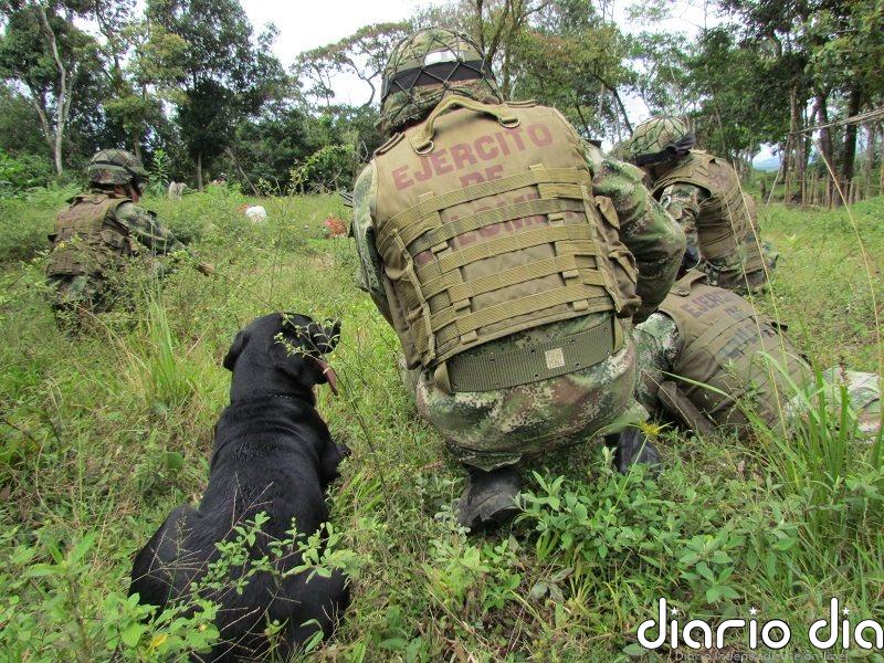 Al menos cuatro militares muertos al ser atacados cuando erradicaban cultivos de coca en el norte de Colombia