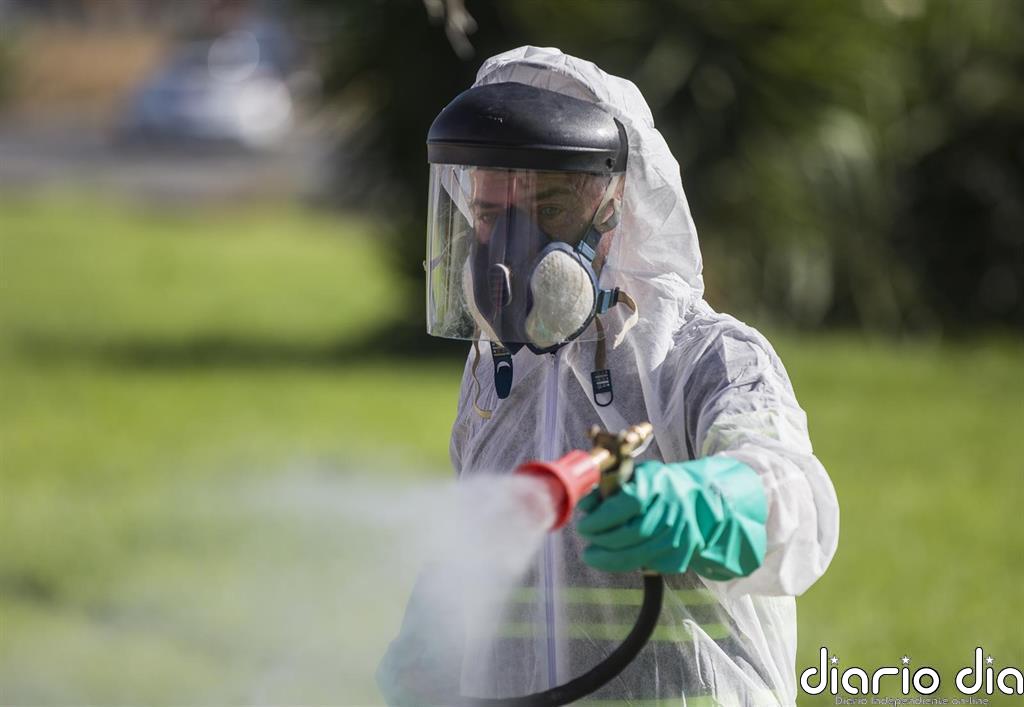 Alcalá de los Gazules (Cádiz) registra un caso de virus del Nilo
