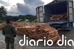 Alerta en la Amazonia ecuatoriana: madereros ilegales arrasan en medio de la pandemia