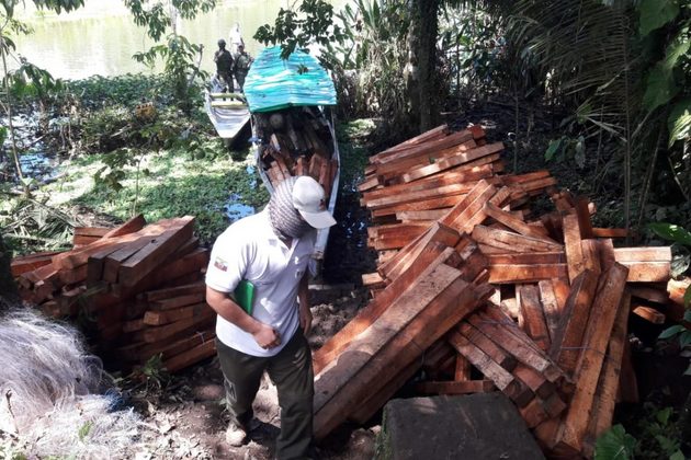 Troncos de balsa extraídos ilegalmente fueron retenidos por la Dirección zonal de Sucumbíos del Ministerio de Ambiente y las Fuerzas Armadas en en el interior de la Reserva Biológica Limoncocha a mediados de julio 2020. Foto: MAE Sucumbíos
