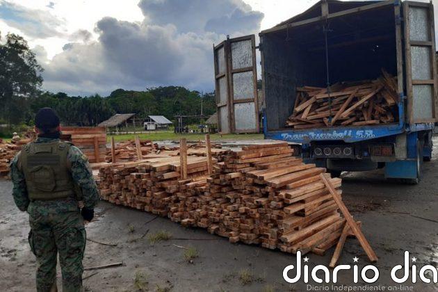 Alerta en la Amazonia ecuatoriana: madereros ilegales arrasan en medio de la pandemia
