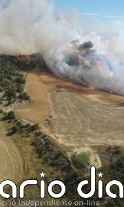 Alerta roja de peligro de incendios forestales en Prepirineo Occidental, Somontano Occidental, Moncayo y Aranda