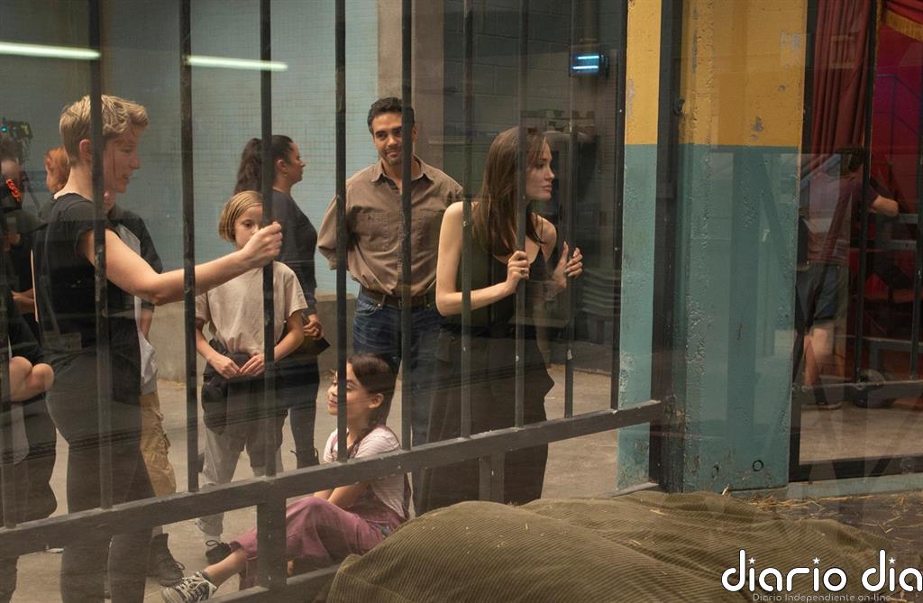 Angelina Jolie: "Las nuevas generaciones son conscientes de lo que pasa con nuestros hábitats y animales"