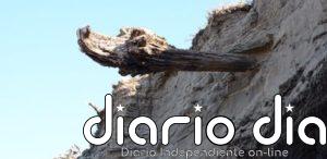 Árboles relacionan 2