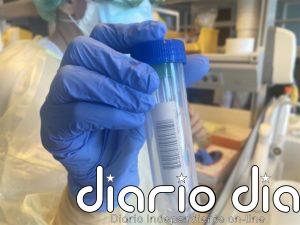 Belmez (Córdoba) pide reducir la movilidad tras 60 PCR que solo dan un positivo más hasta los nueve