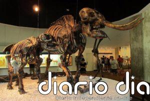 Cambios climáticos forzaban a los mastodontes a mudarse al norte