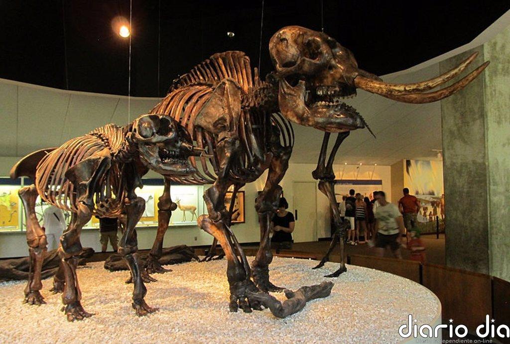Cambios climáticos forzaban a los mastodontes a mudarse al norte