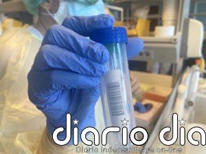 Canarias hará cribados selectivos en territorios con alta incidencia de coronavirus y colectivos vulnerables