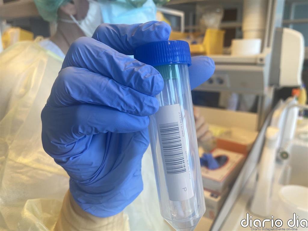 Canarias hará cribados selectivos en territorios con alta incidencia de coronavirus y colectivos vulnerables