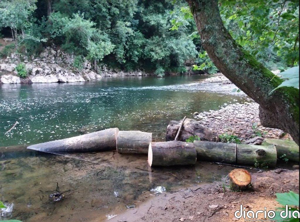 CHC realiza trabajos en el Saja entre San Pedro de Rudagüera y Casar de Periedo
