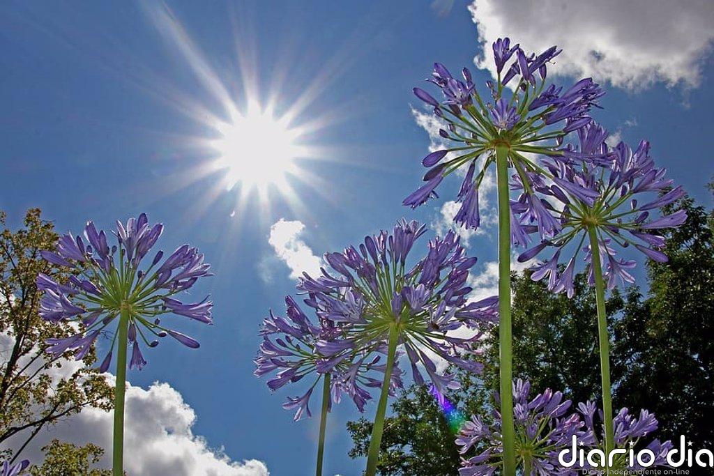 Cielo despejado y temperaturas de hasta 31º este viernes en la Comunitat