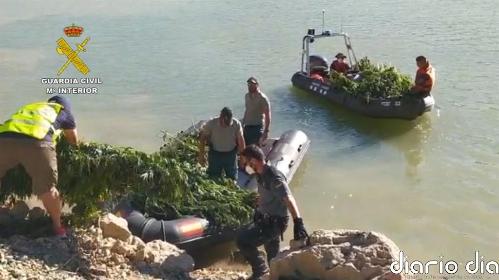 Cinco detenidos y 3