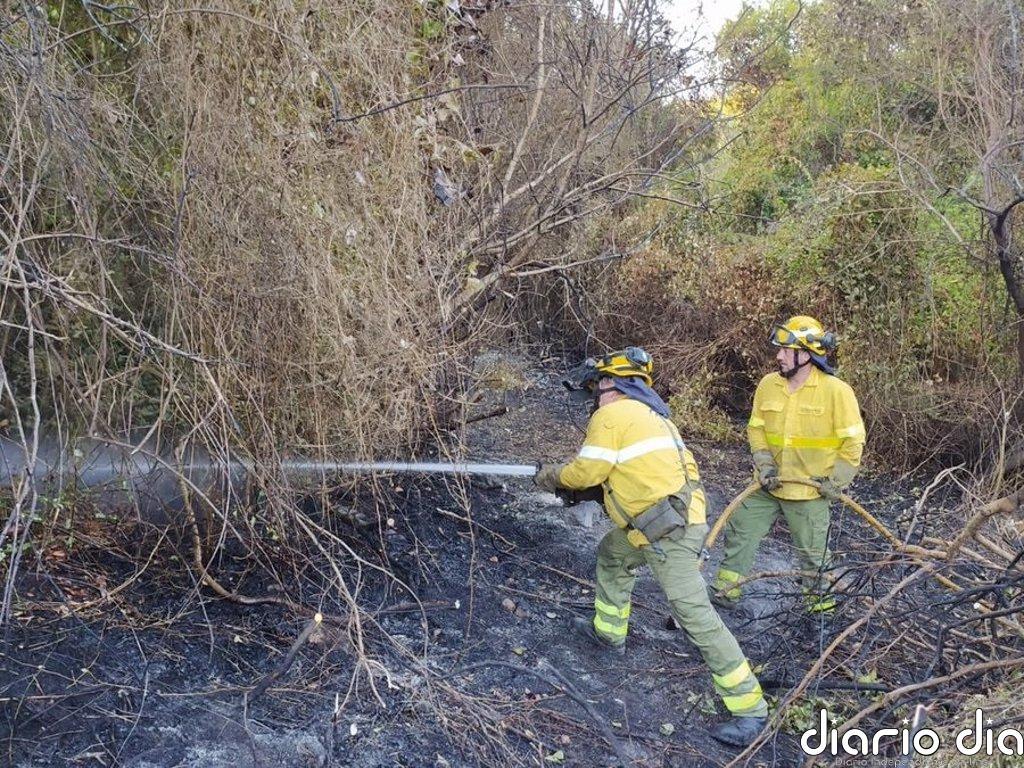 Controlado el incendio forestal de Algeciras (Cádiz)