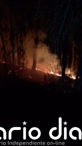 Controlado el incendio forestal declarado en un paraje de Beas (Huelva)