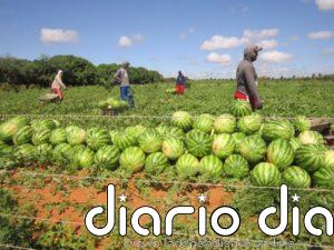 Crece amenaza de hambre en Brasil, agravada por la covid