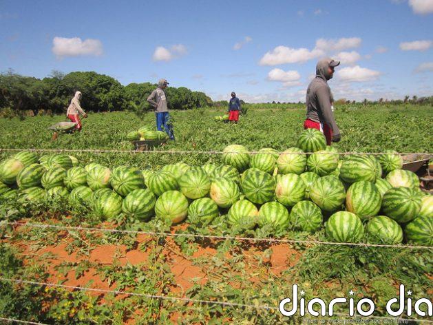 Crece amenaza de hambre en Brasil, agravada por la covid