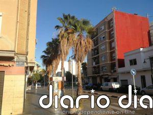 Cs advierte que los daños por arbolado en València originan cerca de 300