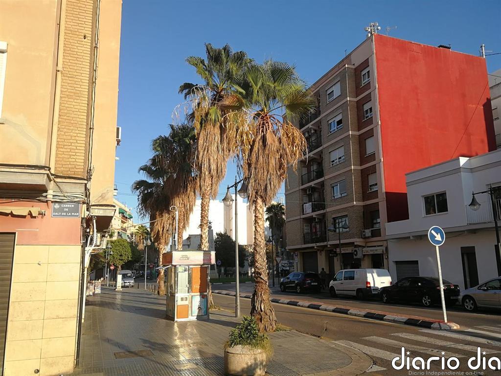Cs advierte que los daños por arbolado en València originan cerca de 300