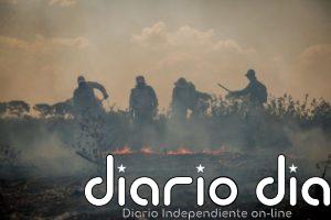 Daltonismo ambiental del gobierno daña economía en Brasil