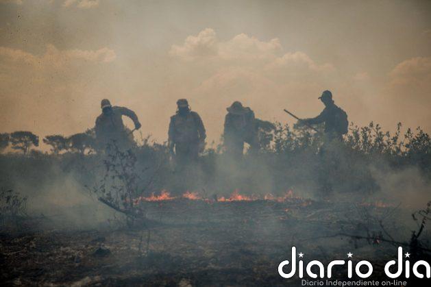 Daltonismo ambiental del gobierno daña economía en Brasil