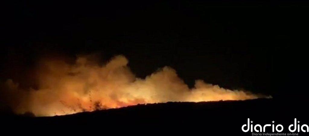 Declarado un incendio forestal en un paraje de Manilva (Málaga)