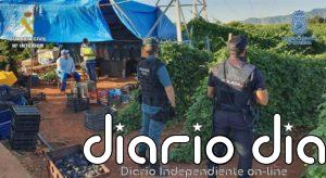 Desmantelada en Castellón una red de explotación laboral a extranjeros en el campo y detenidas 3 personas